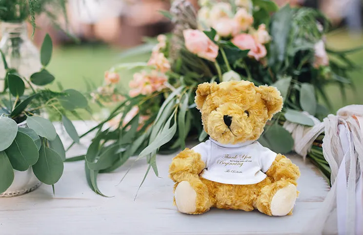 Photo Teddies||||||||||