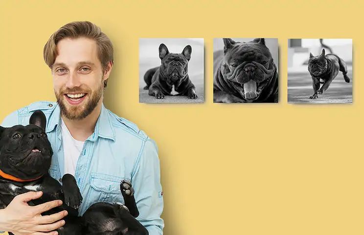 Photo Tiles|Personalised Photo Tiles|Personalised Photo Tiles|Personalised Photo Tiles|Personalised Photo Tiles|Personalised Photo Tiles|||||