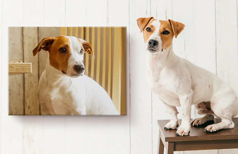 Personalised Photo Canvas Prints by Printerpix|Personalised Canvas Prints|Personalised Canvas Prints|Personalised Canvas Prints|Personalised Canvas Prints|Personalised Canvas Prints|||||