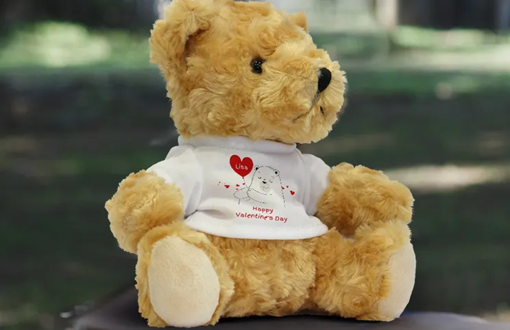 Photo Teddies||||||||||